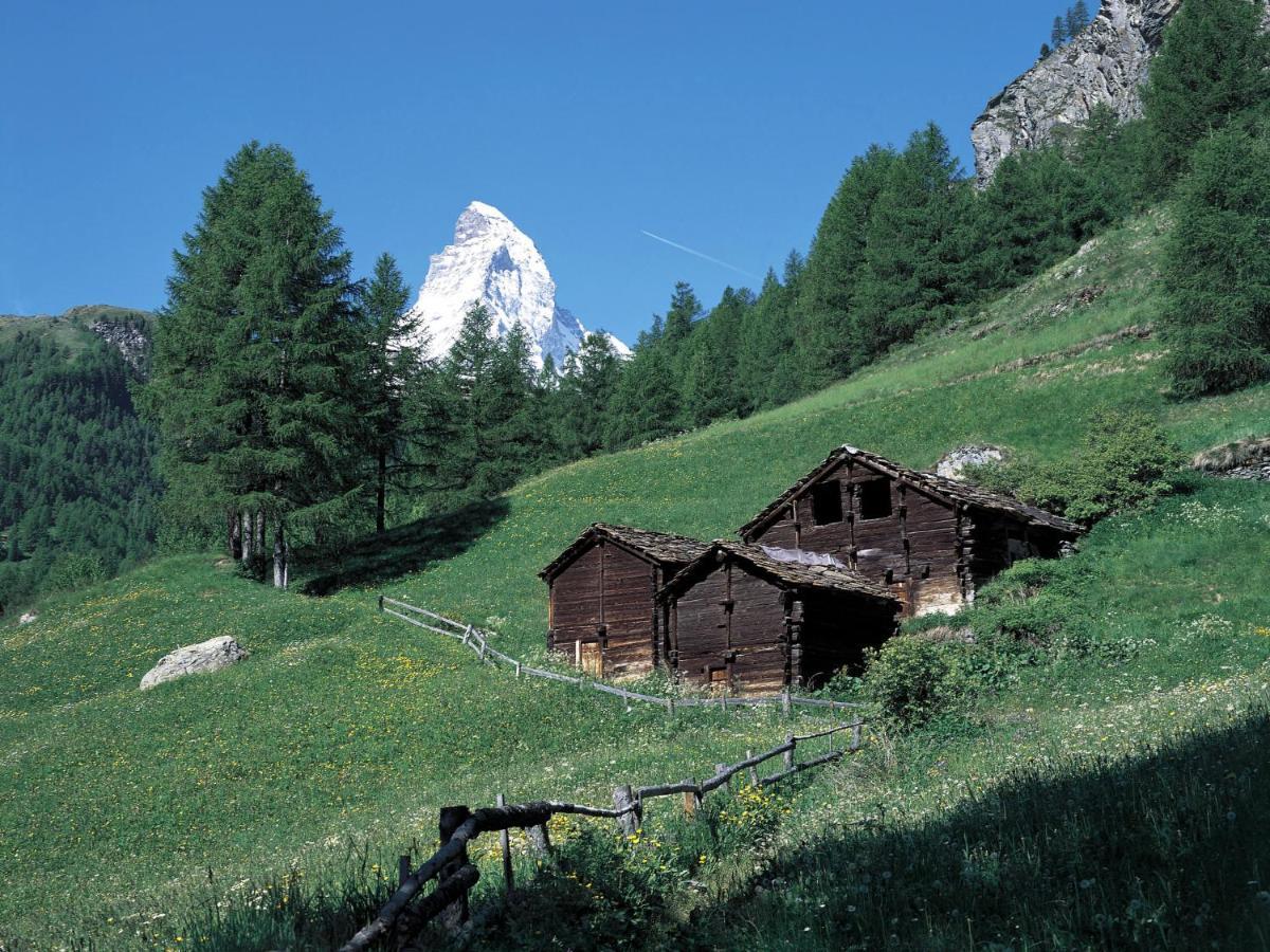 Apartment Dianthus-1 Zermatt Bagian luar foto